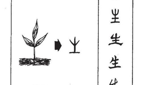 刚出生3天的宝宝拉屎一粒一粒的-出生宝宝3-4天大便颜色网 :分享出生3天拉的屎有奶瓣怎么办-刚出生3天的宝宝拉屎一粒一粒的知识